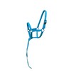 Equitem Nylon Foal Halter with Detachable 13" Catch (Light Blue)