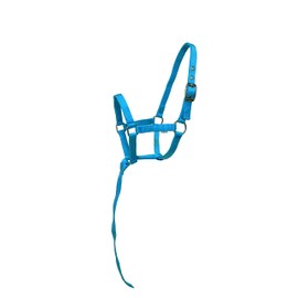 Equitem Nylon Foal Halter with Detachable 13" Catch (Light Blue)