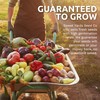 Organic Herbal Tea Seeds Variety Pack - 5 Individual Packs