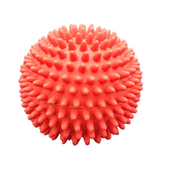 Latex Spiky Ball Dog Toy (red)