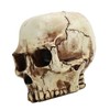 Skull Head Flower Pot Resin High Strength Clear Shape Skull