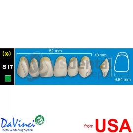 DAVINCIS17 Upper Anterior B1 (1 X 6) - Square -  Davinci 4 layers Denture 112566