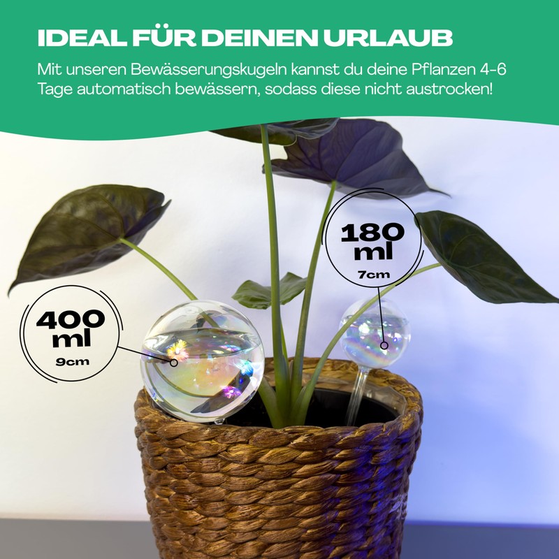 Netrox Watering Ball Automatic Plant Watering Water Dispenser Plants