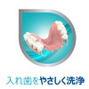 Polident Denture and Mouthpiece Specific Brush (Color cannot be selected)