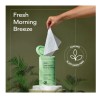 Biopure 2 Antibacterial Hand Wipes Fresh Morning Breeze 100 CT