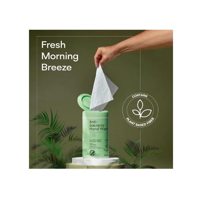 Biopure 2 Antibacterial Hand Wipes Fresh Morning Breeze 100 CT