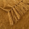 GINAMUSE Chenille Throw Blanket for Couch with Tassels,50"X60" Soft Cozy
