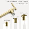 Pot Filler Faucet Wall Mount - 3 Spray Modes, Double