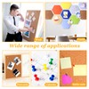 eROOSY 100 PCS Coloured Push Pins, Map Tacks Drawing Pins,