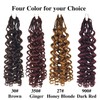 Ginger Gogo Curl Crochet Hair Pre looped Curly Crochet Hair