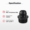 EVIL ENERGY 16AN Male Flare to 1-1/4" NPT Pipe Fitting