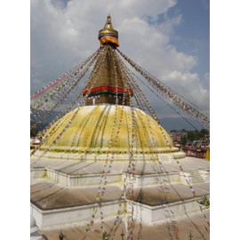 GURU SHOP Tibetan Prayer Flags 25 Pennants 8 m/Viscose Synthetic Size: 1 Piece