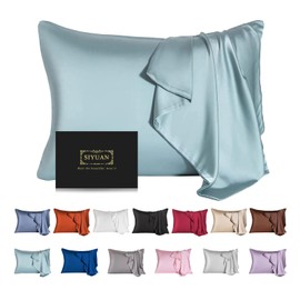 Mulberry Silk Pillowcase for Hair and Skin,Cooling Silk Pillow Case with Hidden Zipper,Allergen Proof Dual Sides Soft Breathable Smooth Silk Pillow Cover for Women. (Aqua Blue, Standard(20"x 26"))