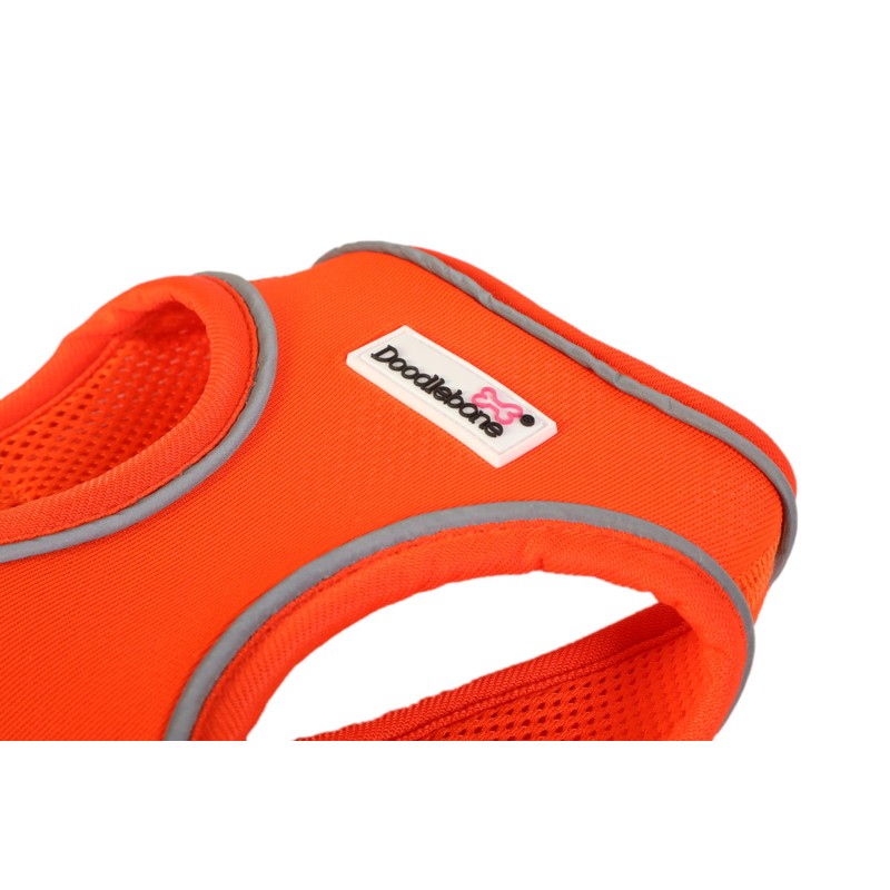 Doodlebone Snappy Harness, Tangerine, 5