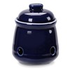HAOTOP Ceramic Mini Garlic Keeper with Lid, Garlic Container Saver