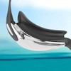 Beco Santos Swimming Goggles, Black, One Size