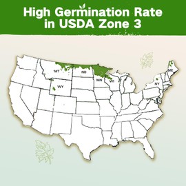 Lush&Dew Year-Round USDA Zone 3 Seed Bank, 32 Varieties Non-GMO Heirloom Seeds of Vegetables, Herbs, Gardening Gifts for Women Men, Emergency Survival Kit for Raised Garden Bed, Greenhouse