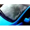 Abused Daily Windshield Banner Vinyl Decal Sticker Car Truck Window