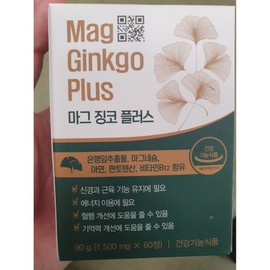 Mag Ginkgo Plus Ginkgo Leaf Extract Magnesium Zinc Vitamin B12 Blood Circulation Nerve Muscle Nutrients, 1 Box, 60 Tablets / 마그 징코 플러스 은행잎추출물 마그네슘 아연 비타민B12 혈행 신경 근육 영양제, 1박스, 60정