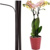 EESC2Y 10-PCs 15-3/4" Bendable Plastic Coated Metal Steel Garden Plant Support Stakes Sticks for Potted House Plants Indoor, Orchid Flower Stakes - Brown