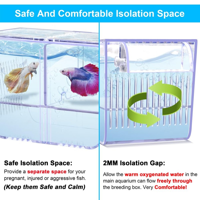 DaToo Fish Breeding Box Aquarium Holding Tank Transparent Fish Isolation