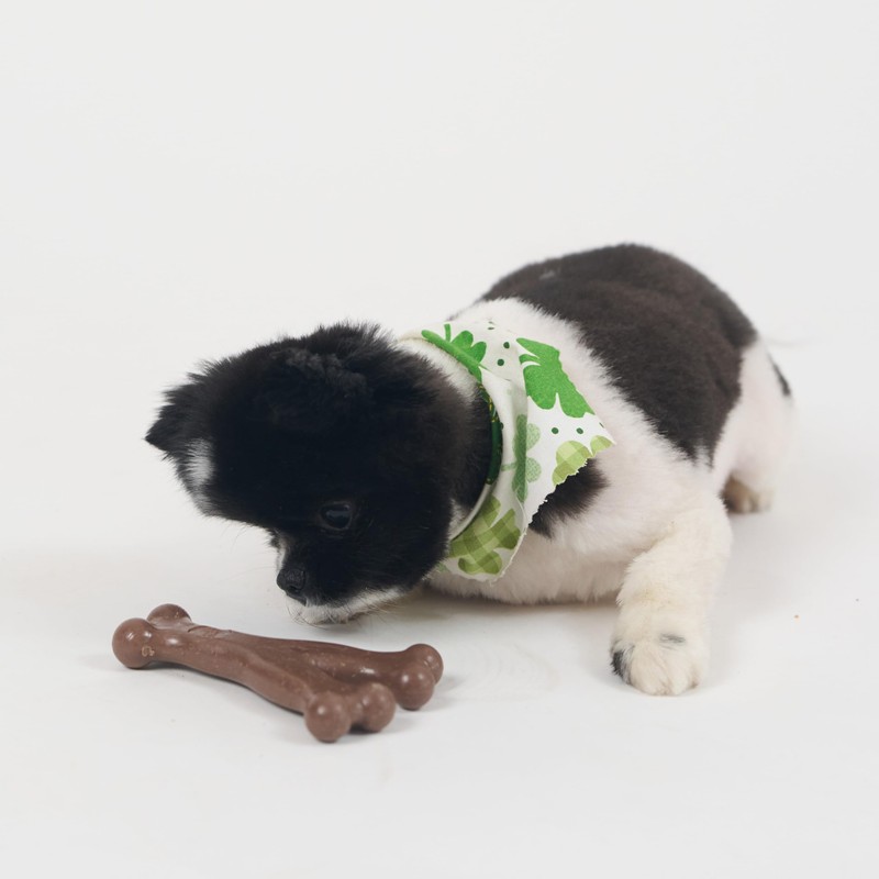 SPOT Bam-Bones Wishbone - Made with Strong Bamboo Fiber, Durable
