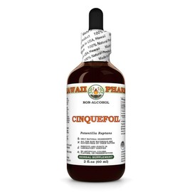 Cinquefoil (Potentilla Reptans) Dry Herb Glycerite, Made in Hawaii, All Natural, Vegan, Lab Tested Alcohol-Free Liquid Extract - 2 fl.oz