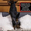 FINNERO Brenda Reusable Dog Diaper, Leak-Proof, Adjustable, Heat & Incontinence