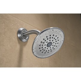 Delta RP42578SS Single-Setting Showerhead, Stainless