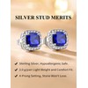 Bestyle Women's 925 Silver Stud Earrings, 13 Colours of Stone,