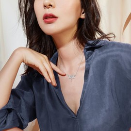 AOBOCO Dragonfly Necklace Sterling Silver Crystal BirthstoneDragonfly Jewelry Gifts (4 April Birthstone)