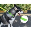 Waterproof Dog Collars,Rubber Dog Collars Anti-Odor,Durable,Adjustable Dog Collars for Small,Medium,