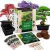 REALPETALED Bonsai Starter Kit, Japanese Bonsai Tree Kit with Bonsai