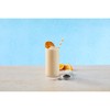 Big Train Vanilla Bean Blended Crème Beverage Mix, 3.5 Pound