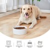 Welloyed Oslo Ceramic Dog Bowl - 6'' Dog Food Water