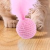 Cat Toy Ball with Feather | Kitten Training Toy -