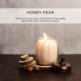 A Cheerful Giver 15 oz Pumpkin Jar Scented Candle - Honey Pear Cider - Single Wick 75 Hour Burn Time - Fall Home Candle Décor