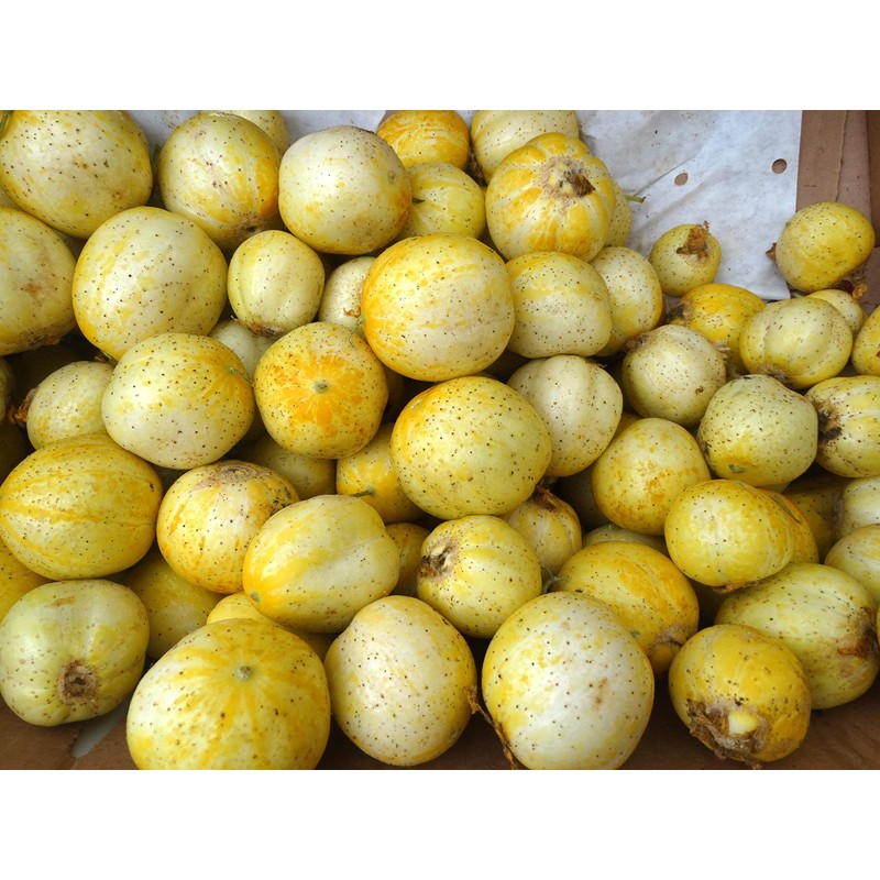 Lemon Cucumber Seeds