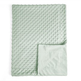 david's kids Minky Baby Blanket for Boys Girls Neutral, 40x50 Inches Soft Lightweight Micro Fleece Baby Blanket with Double Layer, Dotted Backing, Breathable Receiving Blanket for Newborns, Sage Green