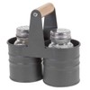 Glass Salt and Pepper Shakers with Metal Storage Stand