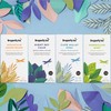 Dragonfly Tea Welcome Tea Selection Box (4x20-80 Teabags) Tea Gift