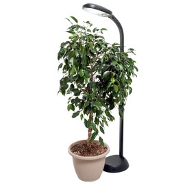AgroBrite Hydrofarm FLF27DF 27-watt CFL, Floor Plant Light