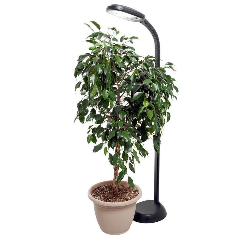 AgroBrite Hydrofarm FLF27DF 27-watt CFL, Floor Plant Light