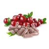 Organic Cranberry * Titrated 10% in Proanthocyanidins * 360 mg