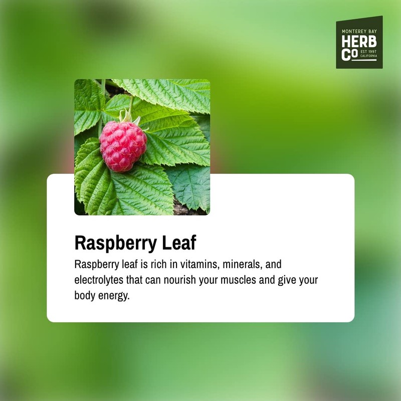 Certified Organic Raspberry Leaf Cut and Sifted 1 LB Bag