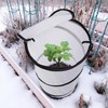 3 Pcs Pop Up Winter Frost Plant Cover, Garden Plants