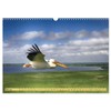Donaudelta - Europas großes Vogelparadies (Wandkalender 2026 DIN A3 quer),