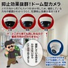 SKY Electronics Security Camera Dummy Camera Dome 1