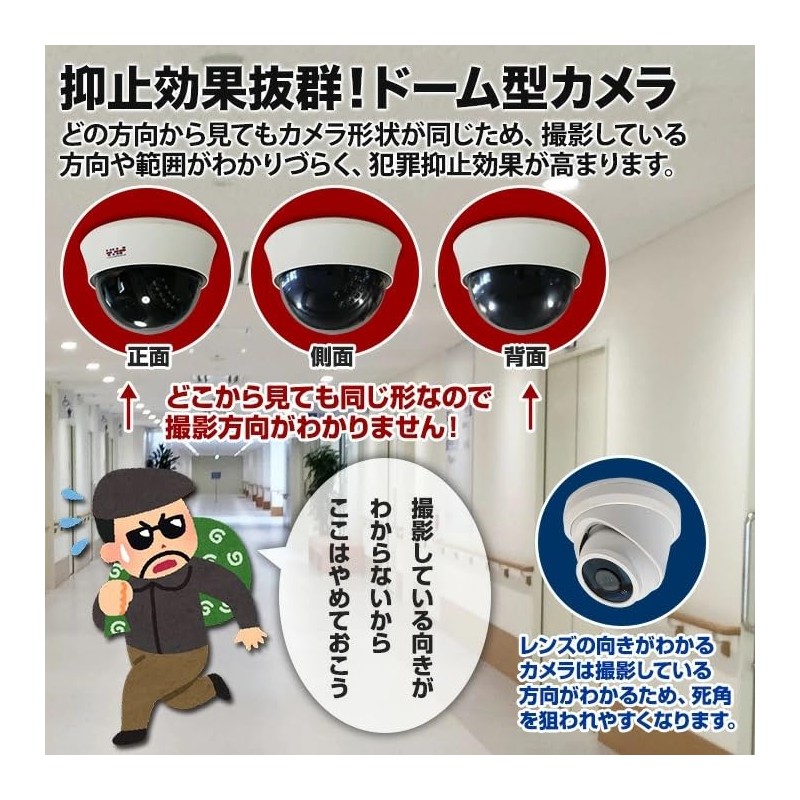 SKY Electronics Security Camera Dummy Camera Dome 1
