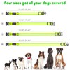 VIZPET Vizpet LED Dog Collar, Light Up Dog Collar Adjustable